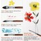10Pcs Synthetic Squirrel Hair Paint Brush Set for Artists with Wide Flat, Round, Detail, Dagger, Cat's Tongue for Watercolor Gouache Inks Painting
